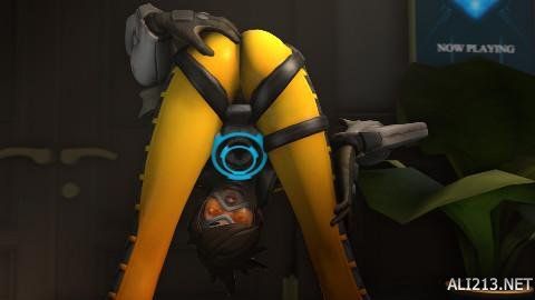 在战术安排 在战术安排